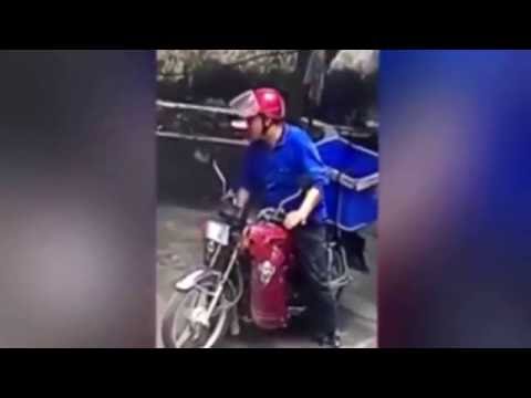 Thief shoots dog with dart then stuffs in box on back of bike before fleeing | Breaking News