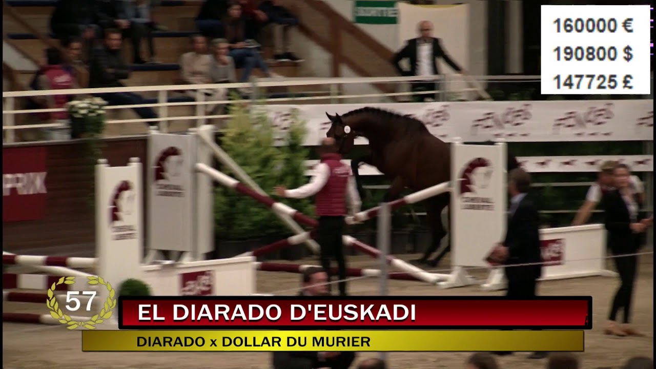EL DIARADO D'EUSKADI TOP PRICE FENCES 2017