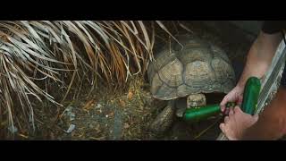 The Python Hunt | Exclusive Clip