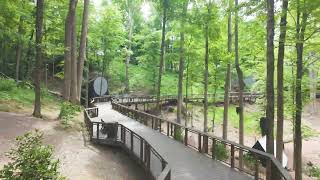 New Animal Encounter Tales from the Trail
