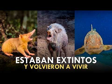 Animals we thought were extinct... but they're still alive!