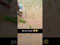 Raithu eppudu kastaparude#shorts#youtubushorts#01trending