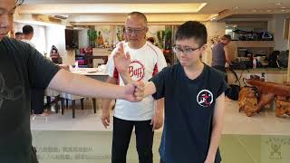 【八卦盤龍】【20190713(09)】如何劈才有力量 不同的劈法