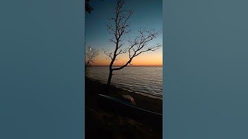 #lakeview #music #shorts #sunset #fishing