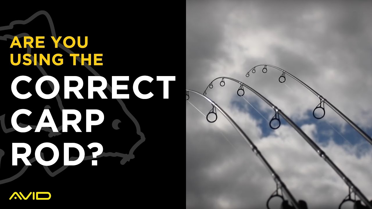 Are you using the correct Carp fishing rod? 