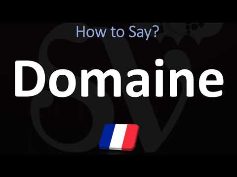 How to Pronounce Domaine in French?