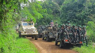 Angola's President João Lourenço makes new push for peace in eastern DRC