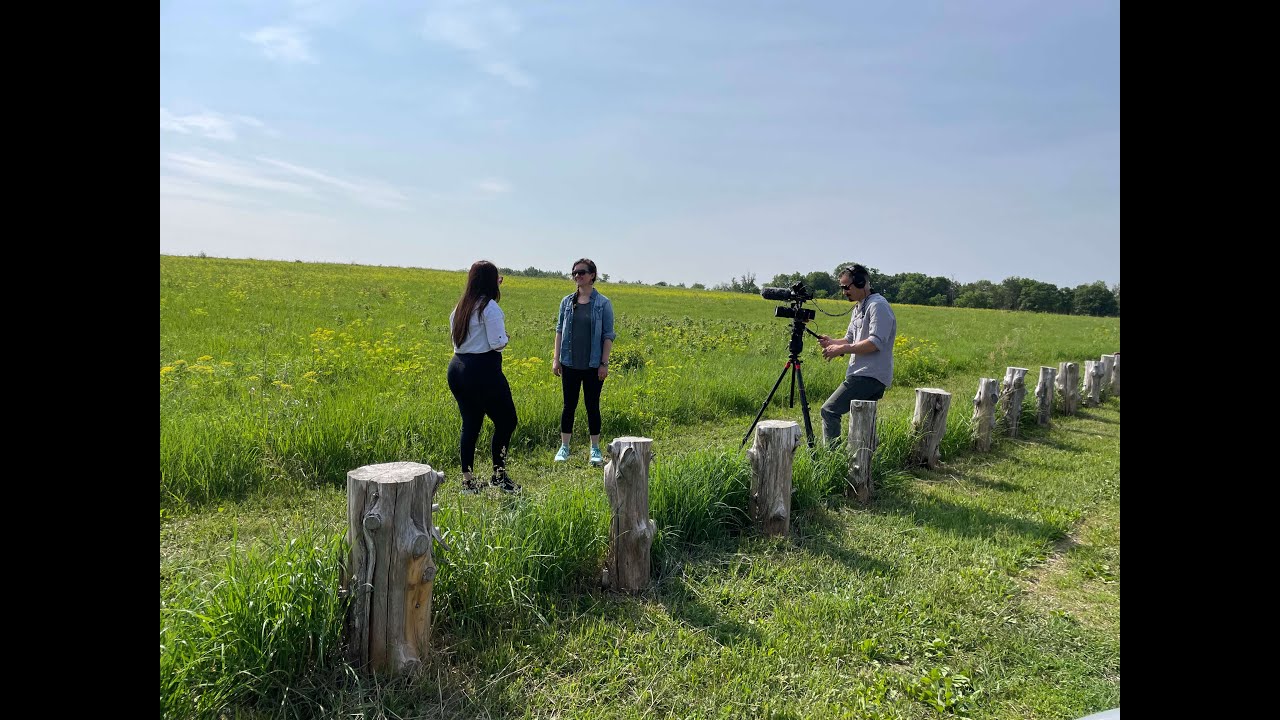 Converging Consciousness: A Plant & Human Co-Creation