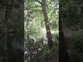 Walks by the river are the best 🩷 #viralvideo #peace #photography #river #england #nature #introvert