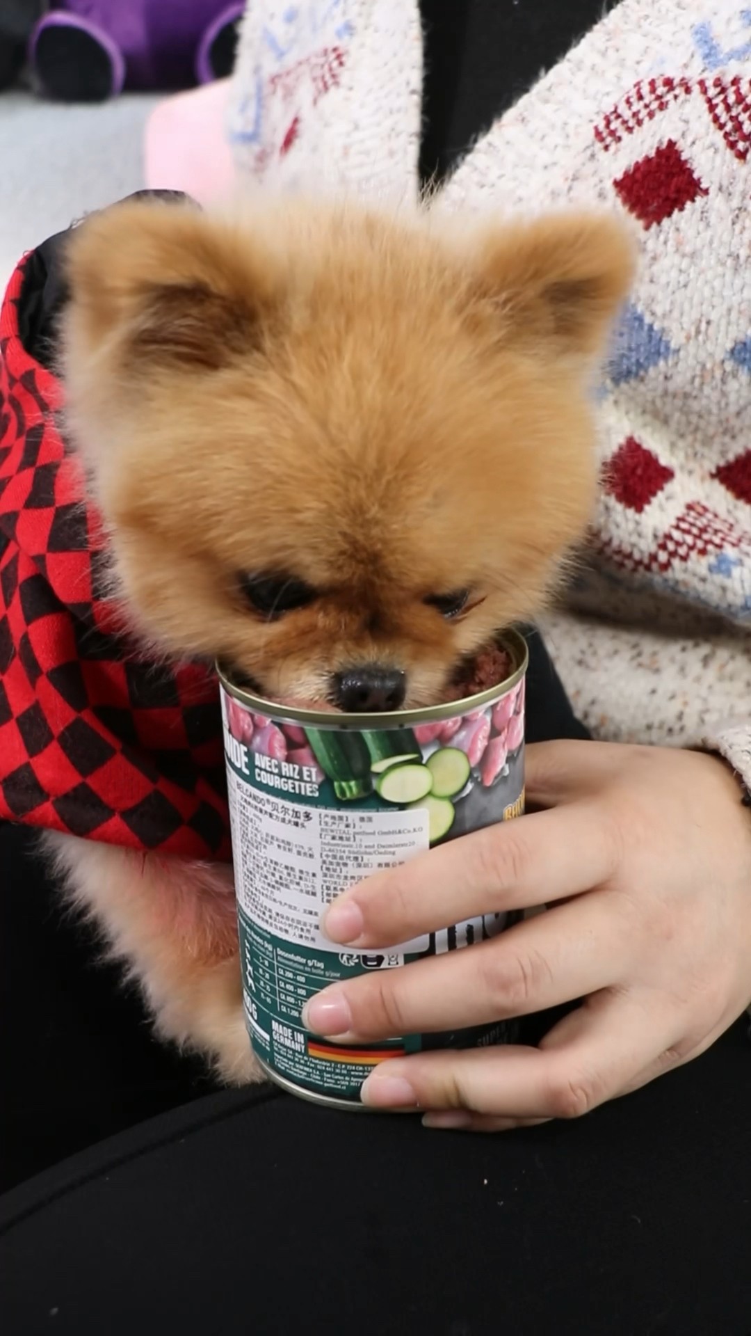 When your dog knows it’s sick, there’s a treat??? #dog #cococutiepom #funny #pet