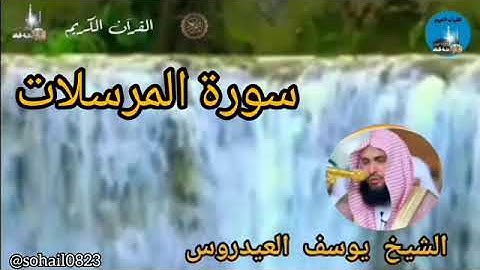 #الشيخ_يوسف_العيدروس #القرٱن_الكريم #سورة_المرسلات