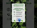 Detergentes Teknox: la nueva frontera de la limpieza sin emisiones de COV