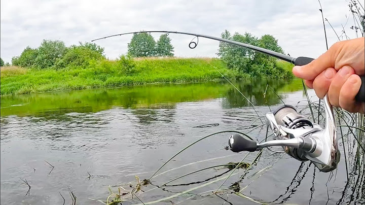 THIS bait CATS fish WHEN THEY DON'T BITE. WOW THAT'S A STRIKE! Spinning Fishing in 2025