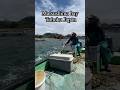 Matsushima bay, Tohoku northeast Japan