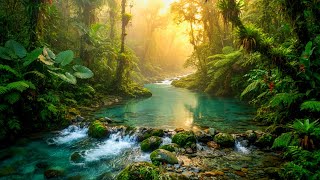 Forest River & Birds Chirping 24/7 | Peaceful Nature Sounds for Sleep, Focus & Relaxation