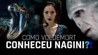 TUDO SOBRE NAGINI!! Como Nagini Conheceu Voldemort em Harry Potter?!