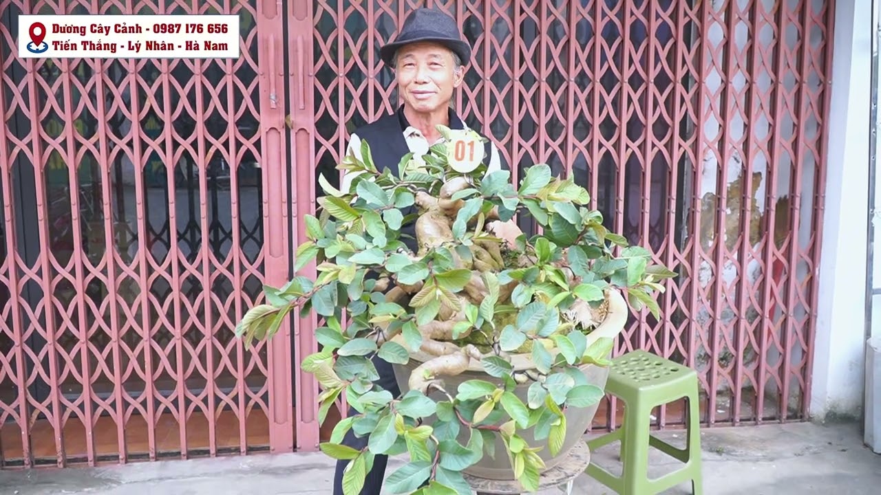 CLIP 465 RẤT TUYỆT ĐỈNH 5 TP ỔI TA THẾ TRƯC HUYỀN ĐỂ CÁC BÁC SIU TẦM ··