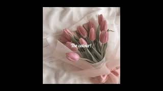 It's not just a colour!! ✨ #aestheic#lightpink#edit#lyrics#youtube#song#whitemustang#btsarmy#bts...