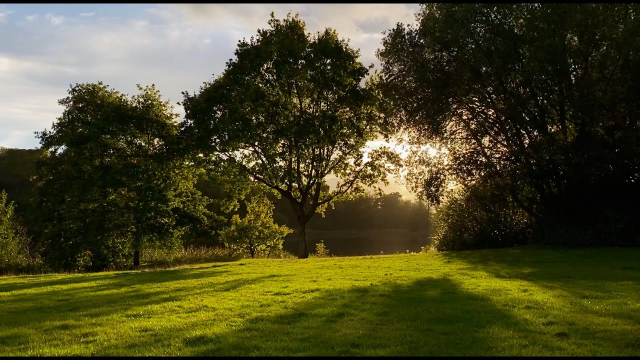 Ashburnham Place September/October 2020
