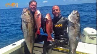 Mohamed kabbani and joshua larsen spearfishing snappers amberjacks in
west palm beach florida