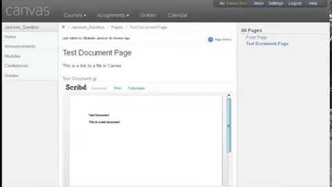 Viewing Files in Canvas