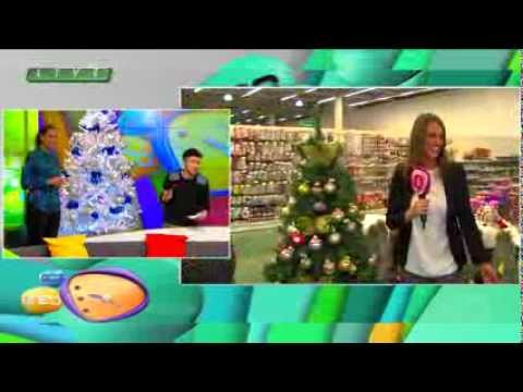 GDS დილა - ნინო კვანტრიშვილის ჩართვა GOODWILL-დან