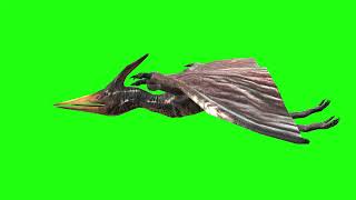 Pterodactyl Fly Glide | Green Screen 3D Animation Video