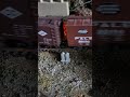 HOBO JUNGLE MORNING #modelrailroad #hoscale #modeltrains #prr