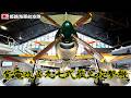 【神風特別攻撃隊】🎌局地戦闘機「紫電改」＆九七式艦上攻撃機