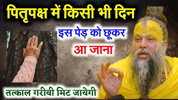 14 सितंबर पितृपक्ष, रविवार अष्टमी तिथि को 1 हल्दी दीपक वाला उपाय जरूर करे || Pradeep Ji Mishra