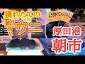 【北海道】石狩『厚田港朝市』水揚げされたばかりの絶品ウニ!!どう食べる?