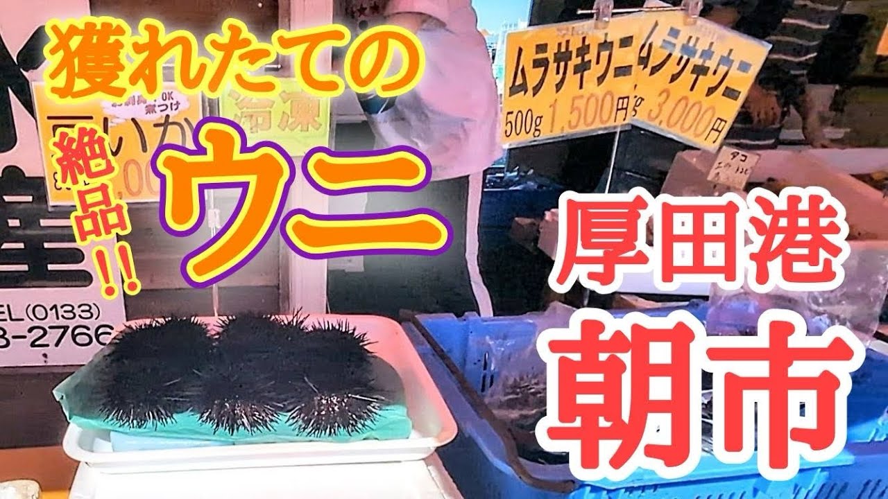 Hokkaido] Ishikari 
