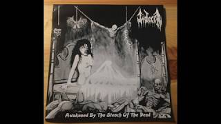 Judecca - Awakened by the Stench of the Dead (1993)