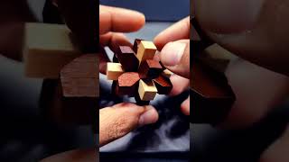 Unlocking πWooden Flower puzzle #shortvideo #puzzle #logic #design #shorts