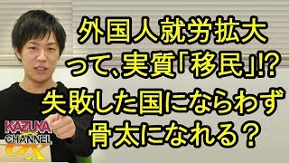 それって実質「移民｣？欧州などの失敗例を踏まえずに骨太になれるのか？
