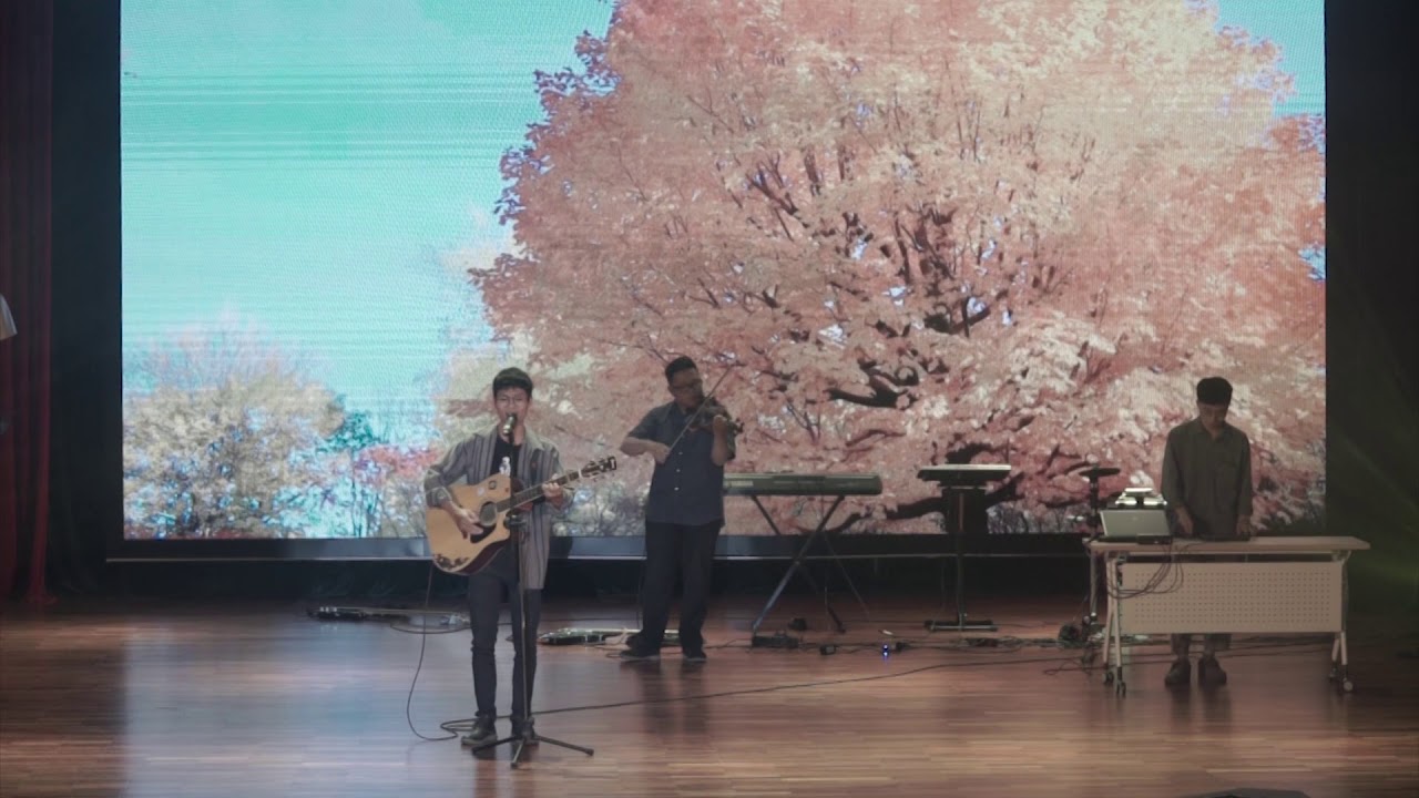 [NOSTALGIA] Quỳnh - Pink Frog