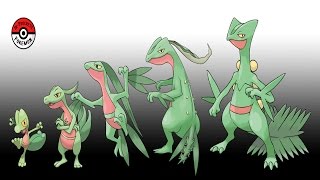ポケモンの進化過程を描いたイラストが秀逸4 In Progress Pokemonから Youtube