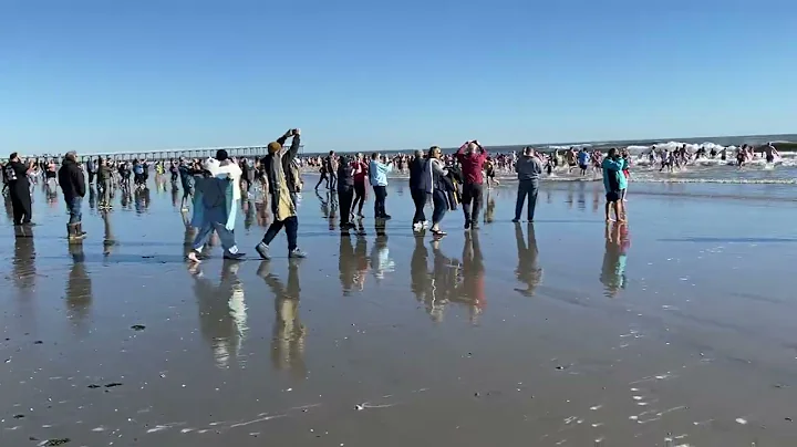 Ventnor Polar Bear Plunge