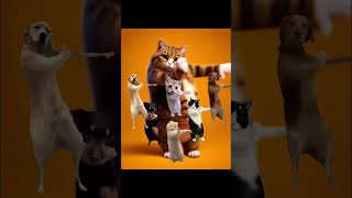 Dancing Cat Eryko!😻 #ai #aiart #aicat #cat #catlover #fypシ゚viral #funny #love #dance #dancevideo