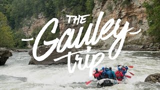 The Gauley Trip