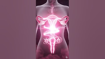 Exploring the Female Reproductive System
