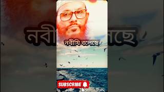 আল্লামা দেলোয়ার হোসেন সাইদি। like comment subscribe share আল্লামা_দেলোয়ার_হোসেন_সাঈদী duet