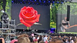 The Rose at British Summer Time (BST) full video