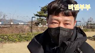 비엠부부 대부도 종이학펜션 #말티즈 #포메라니안