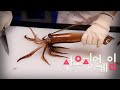 (eng) 산오징어게임 (San Squid Game)