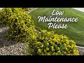 Great Shrubs For Low Maintenance
