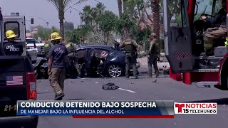 Conductor ebrio intentó huir de la policía y chocó con una palmera