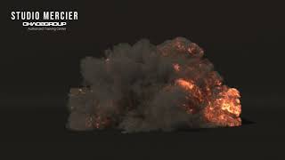 Explosion Phoenix FD