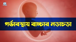 গরভবসথয শশর নডচড - Baby Movement During Pregnancy