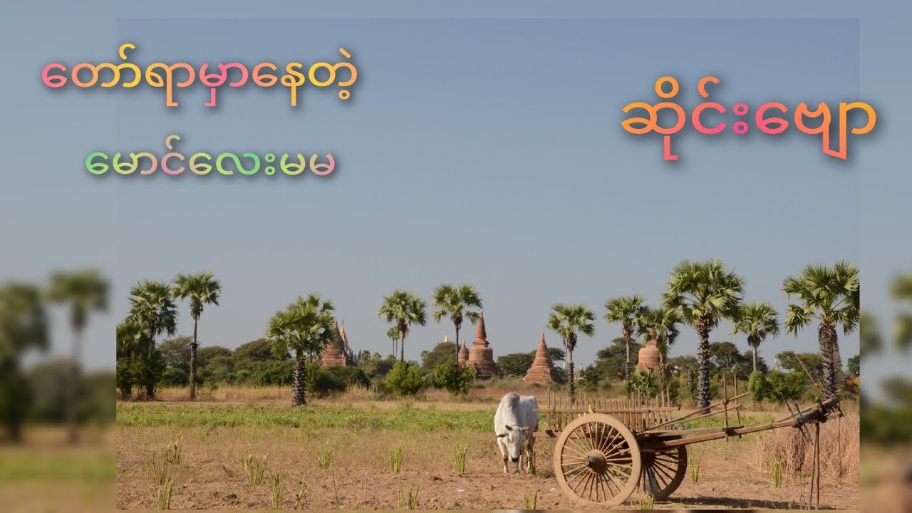 ဆိုင်းဗျောလေး နားထောင်ကောင်းလိုက်တာ ၊ တော်ရာမှာနေတဲ့မောင်လေးမမ